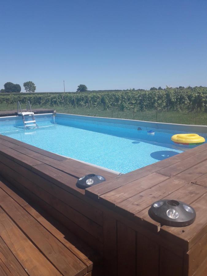 Tenuta Crescentini-Vallemura ,Appartamenti Con Entrata Indipendente 皮亚韦河畔的圣多纳 外观 照片